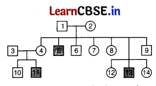 CBSE Sample Papers for Class 12 Biology Set 2 with Solutions 5