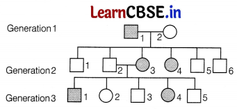 CBSE Sample Papers for Class 12 Biology Set 3 with Solutions 12