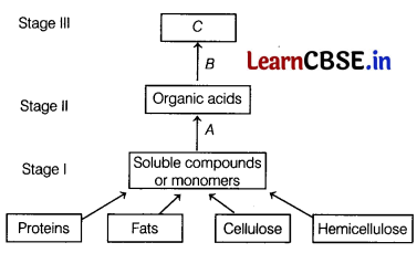 CBSE Sample Papers for Class 12 Biology Set 3 with Solutions 2