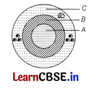 CBSE Sample Papers for Class 12 Biology Set 3 with Solutions 6