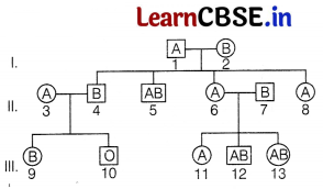 CBSE Sample Papers for Class 12 Biology Set 4 with Solutions 14