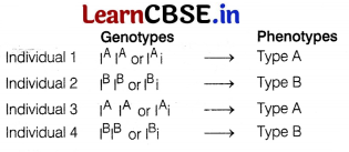 CBSE Sample Papers for Class 12 Biology Set 4 with Solutions 16