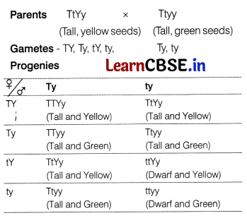 CBSE Sample Papers for Class 12 Biology Set 4 with Solutions 2