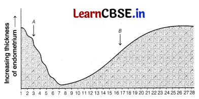CBSE Sample Papers for Class 12 Biology Set 4 with Solutions 4