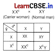 CBSE Sample Papers for Class 12 Biology Set 5 with Solutions 11