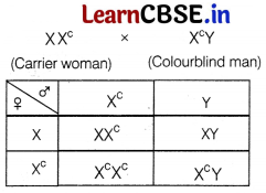 CBSE Sample Papers for Class 12 Biology Set 5 with Solutions 12
