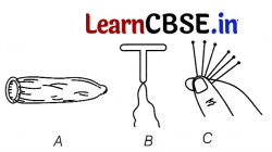 CBSE Sample Papers for Class 12 Biology Set 5 with Solutions 3