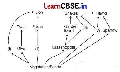 CBSE Sample Papers for Class 12 Biology Set 5 with Solutions 4