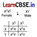 CBSE Sample Papers for Class 12 Biology Set 6 with Solutions 10
