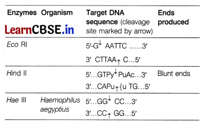 CBSE Sample Papers for Class 12 Biology Set 6 with Solutions 14