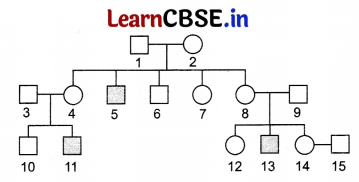 CBSE Sample Papers for Class 12 Biology Set 7 with Solutions 10