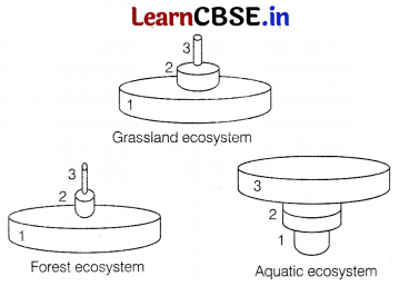 CBSE Sample Papers for Class 12 Biology Set 7 with Solutions 5