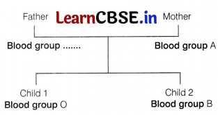 CBSE Sample Papers for Class 12 Biology Set 8 with Solutions 12