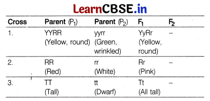 CBSE Sample Papers for Class 12 Biology Set 8 with Solutions 14