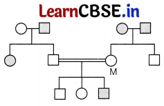 CBSE Sample Papers for Class 12 Biology Set 8 with Solutions 2