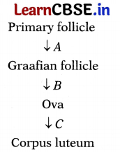 CBSE Sample Papers for Class 12 Biology Set 9 with Solutions 5