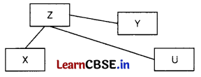 CBSE Sample Papers for Class 12 Computer Applications Set 2 with Solutions 11