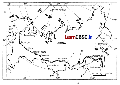 CBSE Sample Papers for Class 12 Geography Set 1 with Solutions 2