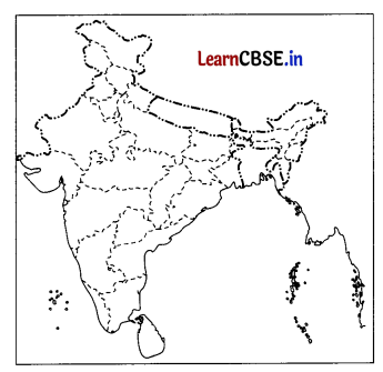 CBSE Sample Papers for Class 12 Geography Set 7 with Solutions 1