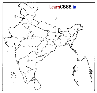 CBSE Sample Papers for Class 12 History Set 1 with Solutions 3