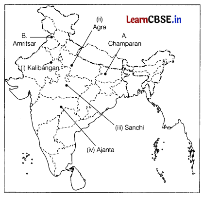 CBSE Sample Papers for Class 12 History Set 1 with Solutions 4