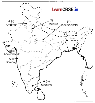 CBSE Sample Papers for Class 12 History Set 10 with Solutions 3