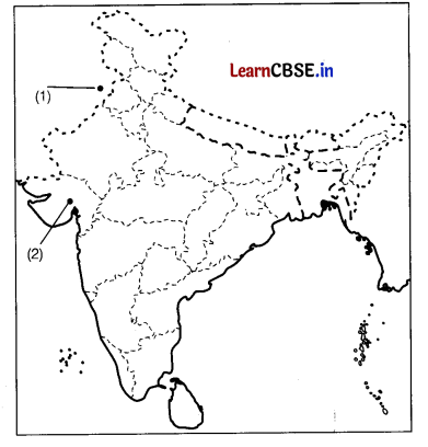 CBSE Sample Papers for Class 12 History Set 7 with Solutions 2