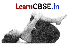 CBSE Sample Papers for Class 12 Physical Education Set 1 with Solutions 1
