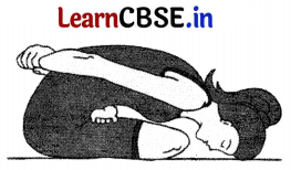 CBSE Sample Papers for Class 12 Physical Education Set 4 with Solutions 1