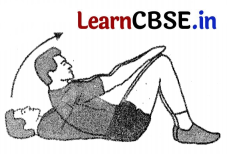 CBSE Sample Papers for Class 12 Physical Education Set 5 with Solutions 1