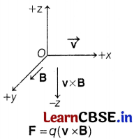 CBSE Sample Papers for Class 12 Physics Set 1 with Solutions 12