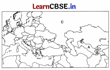 CBSE Sample Papers for Class 12 Political Science Set 7 with Solutions 2