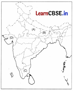 CBSE Sample Papers for Class 12 Political Science Set 8 with Solutions 2