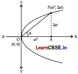 CBSE Sample Papers for Class 11 Applied Mathematics Set 3 with Solutions Q31