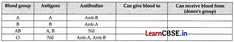CBSE Sample Papers for Class 11 Biology Set 3 with Solutions 21