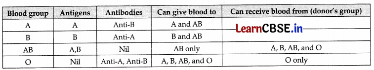 CBSE Sample Papers for Class 11 Biology Set 3 with Solutions 23