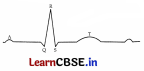 CBSE Sample Papers for Class 11 Biology Set 3 with Solutions 4