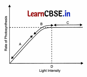 CBSE Sample Papers for Class 11 Biology Set 4 with Solutions 9