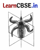 CBSE Sample Papers for Class 11 Biology Set 5 with Solutions 1