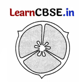 CBSE Sample Papers for Class 11 Biology Set 5 with Solutions 6