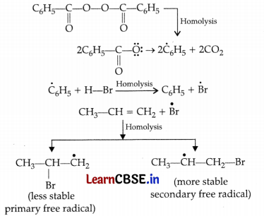 CBSE Sample Papers for Class 11 Chemistry Set 1 with Solutions 13