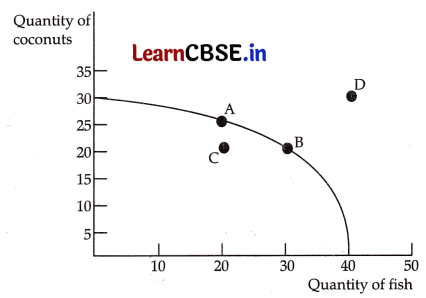 CBSE Sample Papers for Class 11 Economics Set 1 with Solutions 8