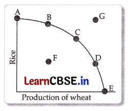 CBSE Sample Papers for Class 11 Economics Set 2 with Solutions 4