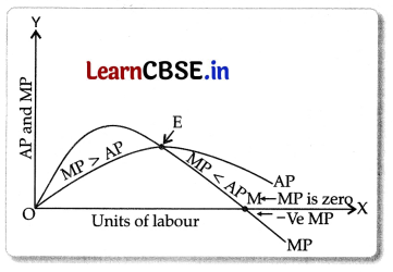 CBSE Sample Papers for Class 11 Economics Set 5 with Solutions 9
