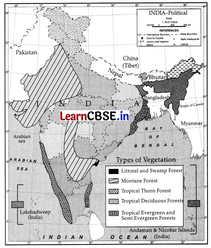 CBSE Sample Papers for Class 11 Geography Set 3 with Solutions 3