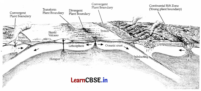 CBSE Sample Papers for Class 11 Geography Set 3 with Solutions 4