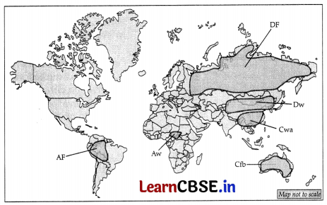 CBSE Sample Papers for Class 11 Geography Set 4 with Solutions 9