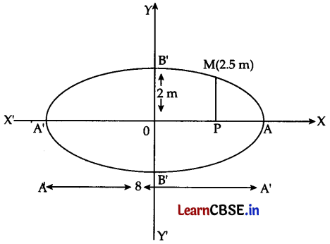 CBSE Sample Papers for Class 11 Maths Set 3 with Solutions Q29