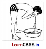 CBSE Sample Papers for Class 11 Physical Education Set 3 with Solutions 1