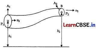 CBSE Sample Papers for Class 11 Physics Set 1 with Solutions 8